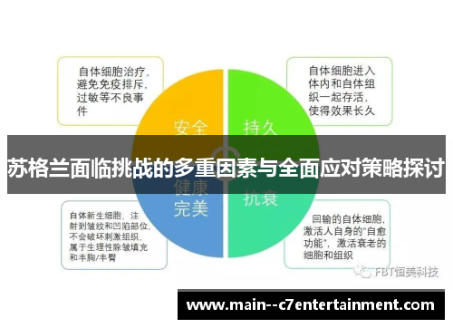 苏格兰面临挑战的多重因素与全面应对策略探讨 苏格兰面临挑战的多重因素与全面应对策略探讨